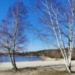 Waldcamping-GrossSee-Wintertag