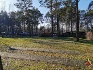 IMG_20200208_133206_Waldcamping_Großsee_WoMo_1824 IMG_20200208_133206_Waldcamping_Großsee_WoMo_1824