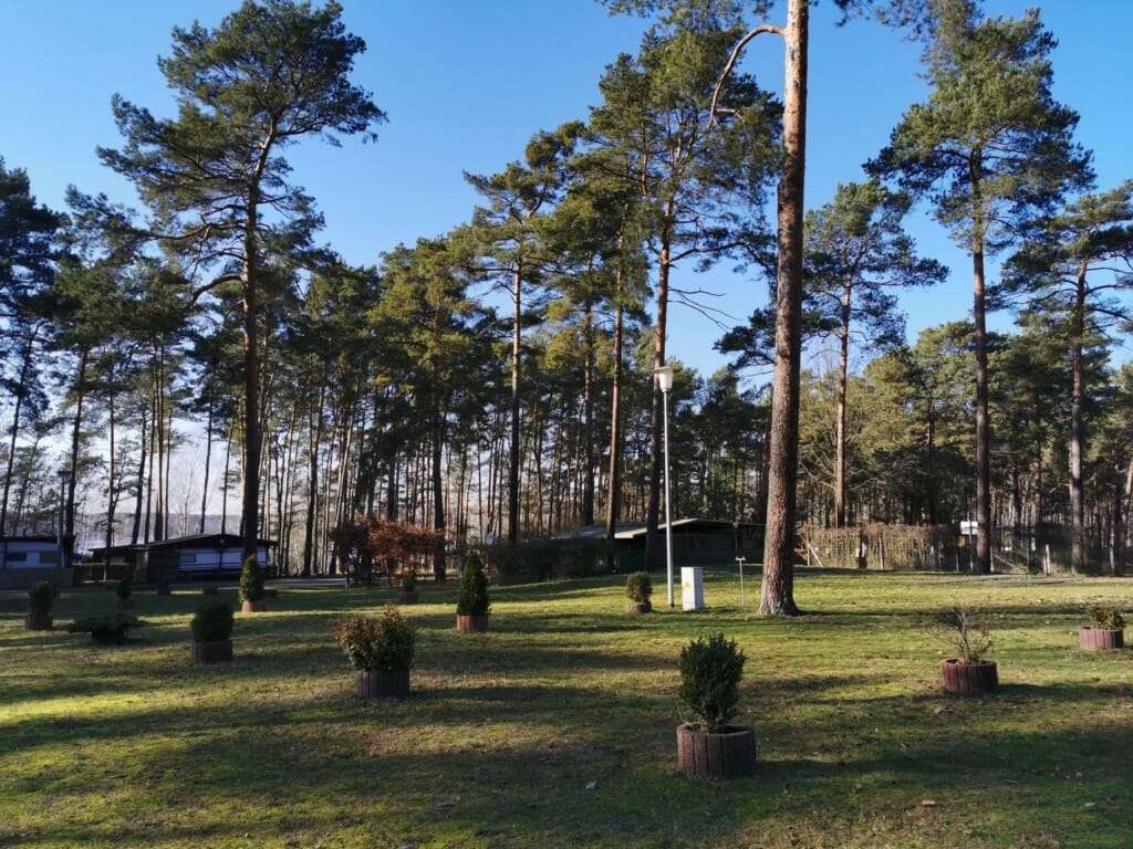 Campingplatz Bildergalerie | Waldcamping Am Grosee