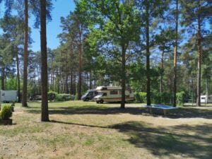 202005_Stellplatz_Wohnmobil_Reisemobil_Waldcamping_GrossSee 202005_Stellplatz_Wohnmobil_Reisemobil_Waldcamping_GrossSee