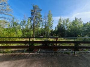 Terrassenblick-Bungalow-Waldcamping-Großsee Terrassenblick-Bungalow-Waldcamping-Großsee