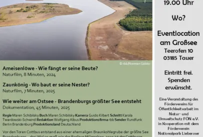 20260813-Ökofilmtour-Kinoabend-Großsee